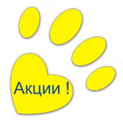 Акции Ветеринарного центра Акции Ветеринарного центра