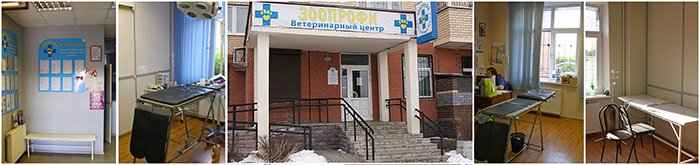 ветеринарная клиника «Ветеринарный центр «ЗООПРОФИ»